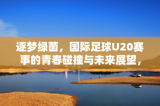逐梦绿茵，国际足球U20赛事的青春碰撞与未来展望，逐梦绿茵，国际足球U20赛事的青春碰撞与未来展望