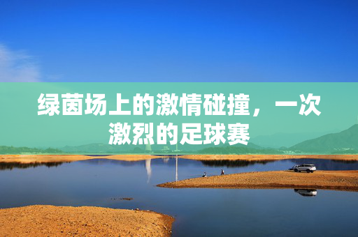 绿茵场上的激情碰撞，一次激烈的足球赛
