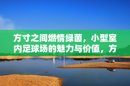 方寸之间燃情绿茵，小型室内足球场的魅力与价值，方寸之间燃情绿茵，小型室内足球场的魅力与价值
