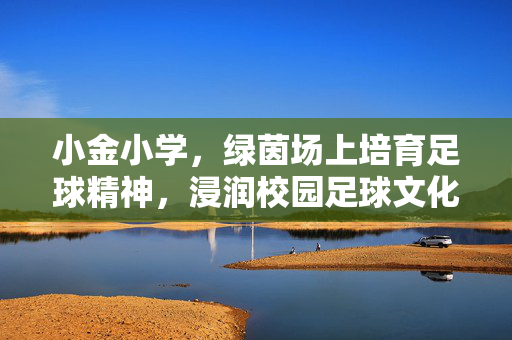 小金小学，绿茵场上培育足球精神，浸润校园足球文化，小金小学，绿茵场上培育足球精神，浸润校园足球文化