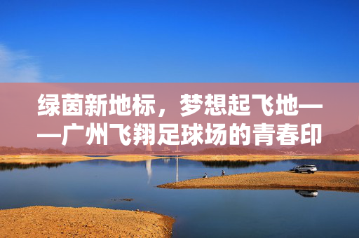 绿茵新地标，梦想起飞地——广州飞翔足球场的青春印记