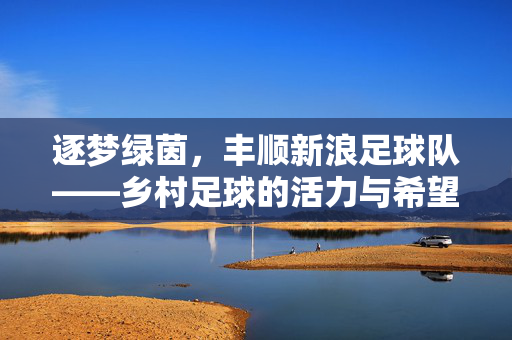 逐梦绿茵，丰顺新浪足球队——乡村足球的活力与希望，逐梦绿茵，丰顺新浪足球队——乡村足球的活力与希望