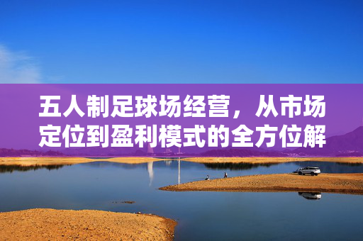 五人制足球场经营，从市场定位到盈利模式的全方位解析，五人制足球场经营，从市场定位到盈利模式的全方位解析