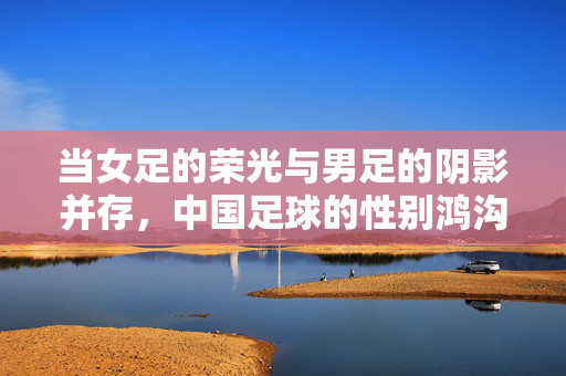 当女足的荣光与男足的阴影并存，中国足球的性别鸿沟与深层困境反思，当女足的荣光与男足的阴影并存，中国足球的性别鸿沟与深层困境反思