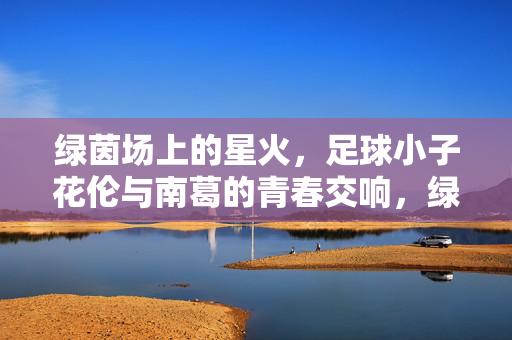 绿茵场上的星火,足球小子花伦与南葛的青春交响,绿茵场上的星火,足球小子花伦与南葛的青春交响