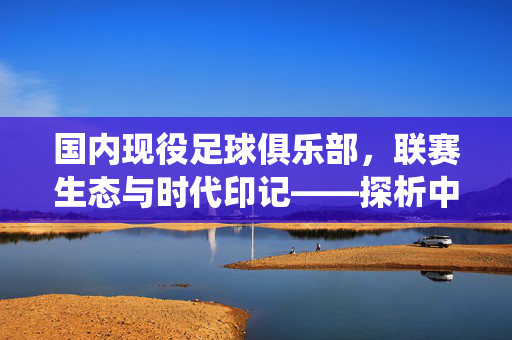 国内现役足球俱乐部，联赛生态与时代印记——探析中超、中甲俱乐部的竞争格局与文化传承，国内现役足球俱乐部，联赛生态与时代印记——中超、中甲竞争格局与文化传承探析
