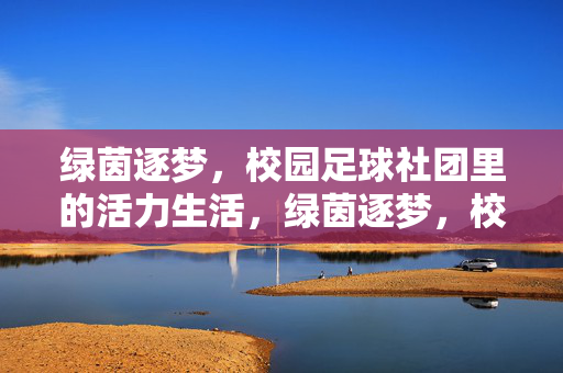 绿茵逐梦，校园足球社团里的活力生活，绿茵逐梦，校园足球社团里的活力生活