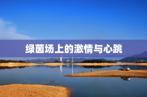 绿茵场上的激情与心跳