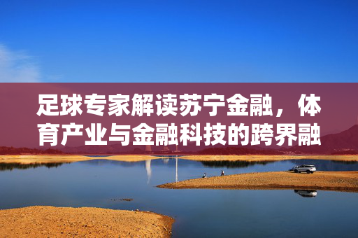 足球专家解读苏宁金融，体育产业与金融科技的跨界融合实践，足球专家解读苏宁金融，体育产业与金融科技跨界融合实践