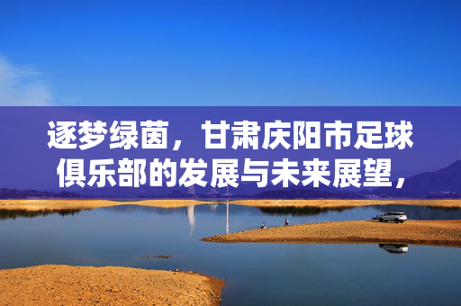 逐梦绿茵，甘肃庆阳市足球俱乐部的发展与未来展望，逐梦绿茵，甘肃庆阳市足球俱乐部的发展与未来展望