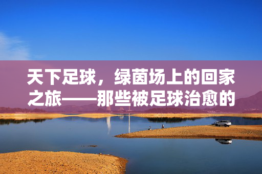 天下足球，绿茵场上的回家之旅——那些被足球治愈的流浪者，天下足球，绿茵场上的回家之旅——那些被足球治愈的流浪者