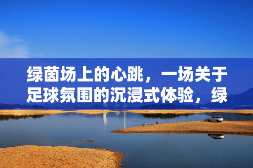 绿茵场上的心跳，一场关于足球氛围的沉浸式体验，绿茵场上的心跳，一场关于足球氛围的沉浸式体验