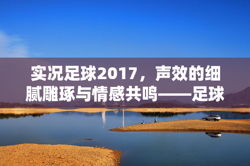 实况足球2017，声效的细腻雕琢与情感共鸣——足球世界的听觉盛宴