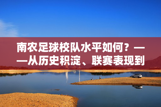 南农足球校队水平如何？——从历史积淀、联赛表现到校园文化中的活力，南农足球校队水平如何？——从历史积淀、联赛表现到校园文化中的活力
