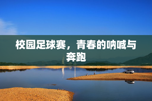 校园足球赛，青春的呐喊与奔跑