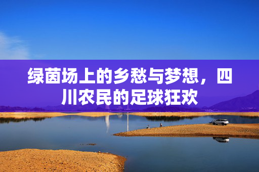 绿茵场上的乡愁与梦想，四川农民的足球狂欢