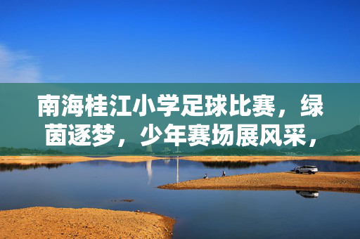 南海桂江小学足球比赛，绿茵逐梦，少年赛场展风采，南海桂江小学足球比赛，绿茵逐梦，少年赛场展风采