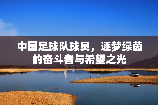 中国足球队球员，逐梦绿茵的奋斗者与希望之光