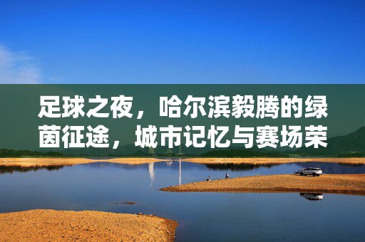 足球之夜，哈尔滨毅腾的绿茵征途，城市记忆与赛场荣光的交织
