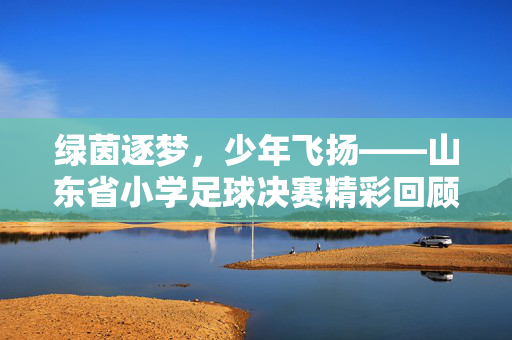绿茵逐梦，少年飞扬——山东省小学足球决赛精彩回顾与启示，绿茵逐梦，少年飞扬——山东省小学足球决赛精彩回顾与启示