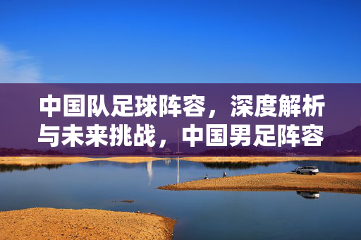 中国队足球阵容，深度解析与未来挑战，中国男足阵容深度解析，现状、问题与未来挑战