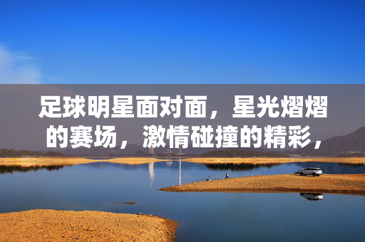 足球明星面对面，星光熠熠的赛场，激情碰撞的精彩，足球明星面对面，星光熠熠的赛场，激情碰撞的精彩对决