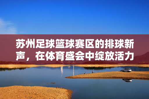 苏州足球篮球赛区的排球新声，在体育盛会中绽放活力，苏州足球篮球赛区的排球新声，在体育盛会中绽放活力