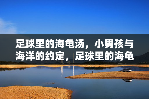 足球里的海龟汤，小男孩与海洋的约定，足球里的海龟汤，小男孩与海洋的约定