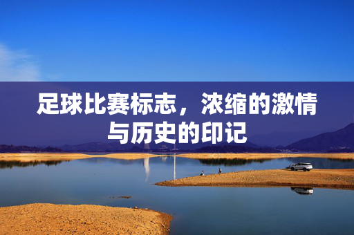 足球比赛标志，浓缩的激情与历史的印记