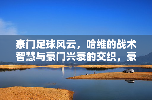 豪门足球风云，哈维的战术智慧与豪门兴衰的交织，豪门足球风云，哈维的战术智慧与豪门兴衰的交织