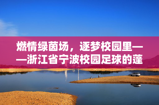 燃情绿茵场，逐梦校园里——浙江省宁波校园足球的蓬勃发展之路