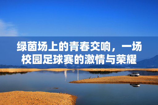 绿茵场上的青春交响，一场校园足球赛的激情与荣耀