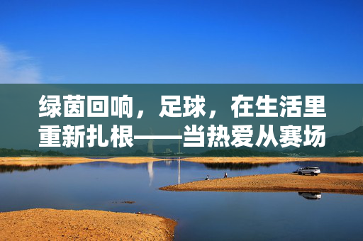 绿茵回响，足球，在生活里重新扎根——当热爱从赛场走向日常