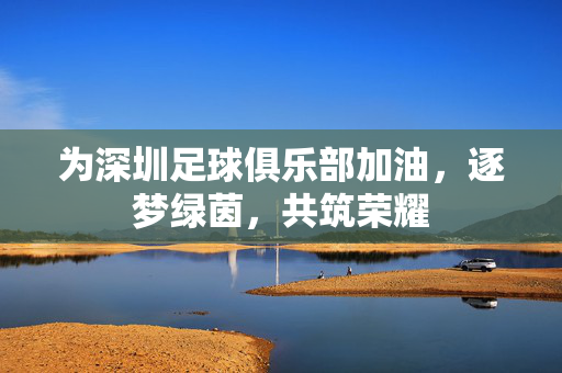 为深圳足球俱乐部加油，逐梦绿茵，共筑荣耀