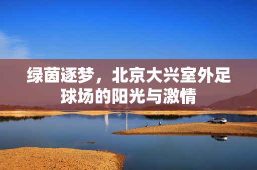 绿茵逐梦，北京大兴室外足球场的阳光与激情