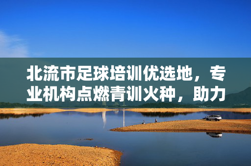 北流市足球培训优选地，专业机构点燃青训火种，助力青少年足球梦想起航，北流市足球培训优选地，专业机构点燃青训火种，助力青少年足球梦想起航
