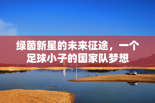 绿茵新星的未来征途，一个足球小子的国家队梦想