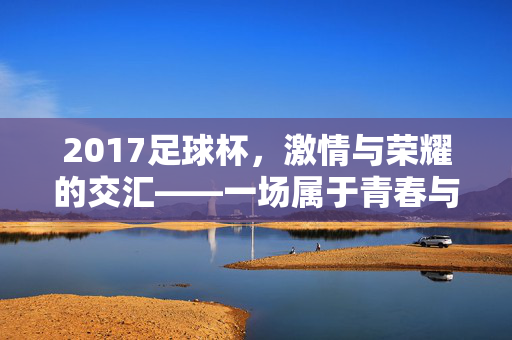 2017足球杯，激情与荣耀的交汇——一场属于青春与梦想的盛宴