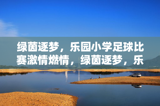 绿茵逐梦，乐园小学足球比赛激情燃情，绿茵逐梦，乐园小学足球比赛激情燃情
