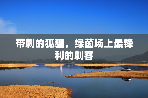 带刺的狐狸，绿茵场上最锋利的刺客