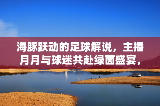 海豚跃动的足球解说，主播月月与球迷共赴绿茵盛宴，海豚跃动足球解说，月月主播与球迷共赴绿茵盛宴