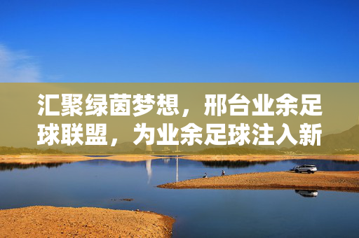 汇聚绿茵梦想，邢台业余足球联盟，为业余足球注入新活力，汇聚绿茵梦想，邢台业余足球联盟为业余足球注入新活力