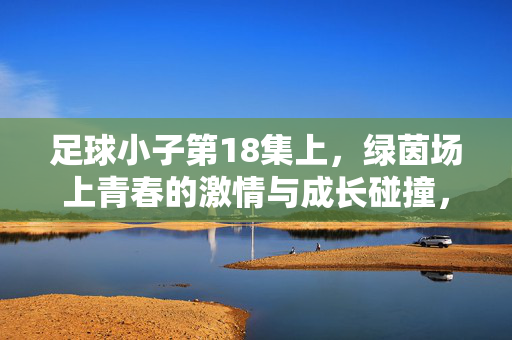 足球小子第18集上，绿茵场上青春的激情与成长碰撞，足球小子第18集上，绿茵场上的青春激情与成长碰撞