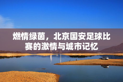 燃情绿茵，北京国安足球比赛的激情与城市记忆