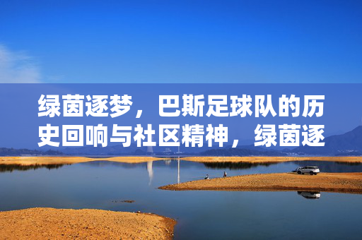 绿茵逐梦，巴斯足球队的历史回响与社区精神，绿茵逐梦，巴斯足球队的历史回响与社区精神
