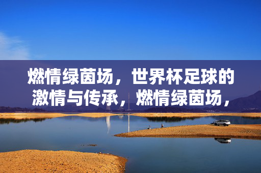 燃情绿茵场，世界杯足球的激情与传承，燃情绿茵场，世界杯足球的激情与传承