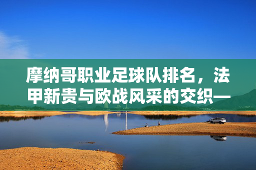 摩纳哥职业足球队排名，法甲新贵与欧战风采的交织——解析球队当前实力定位，摩纳哥职业足球队排名，法甲新贵与欧战风采的交织——解析球队当前实力定位