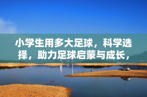 小学生用多大足球，科学选择，助力足球启蒙与成长，小学生足球选择，科学选对大小，助力足球启蒙与成长