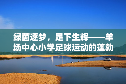 绿茵逐梦，足下生辉——羊场中心小学足球运动的蓬勃发展，绿茵逐梦，足下生辉——羊场中心小学足球运动的蓬勃发展