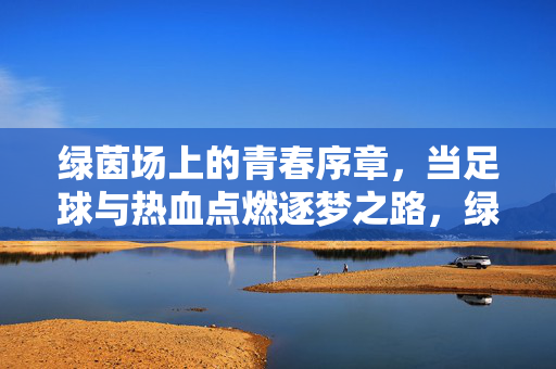 绿茵场上的青春序章，当足球与热血点燃逐梦之路，绿茵场上的青春序章，足球与热血点燃逐梦之路